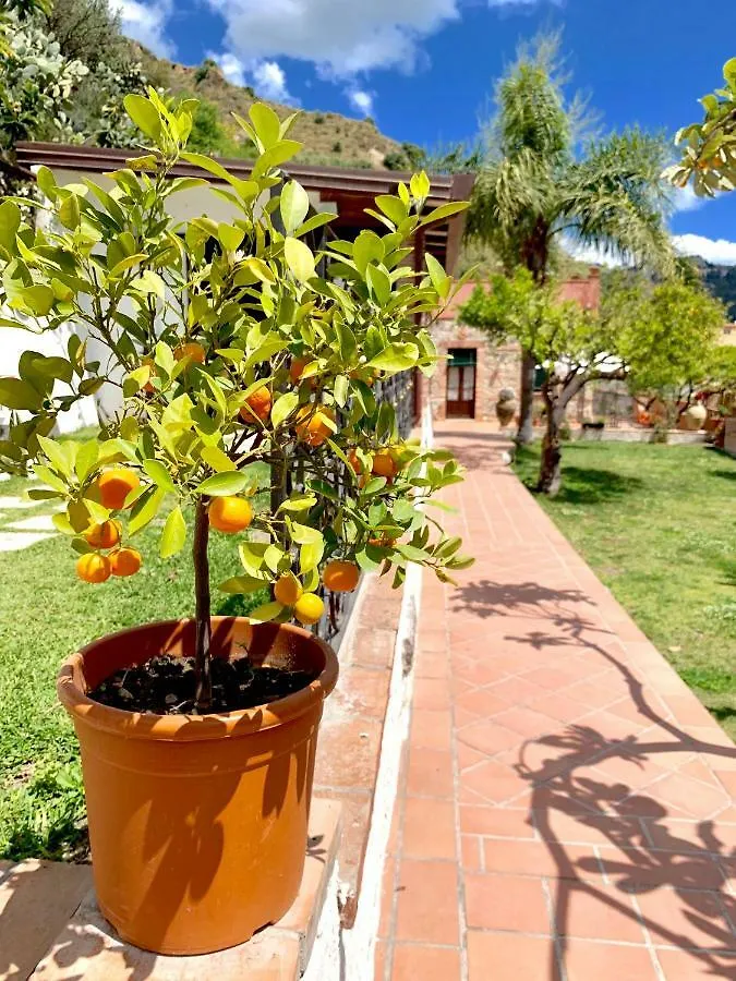 B&B Villa Vittoria Giardini Naxos Bed & Breakfast